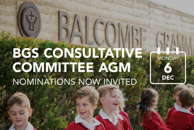 Consultative Committee AGM – Call for Nominations